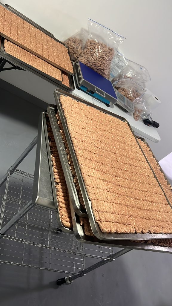 Bandejas de producción en planta